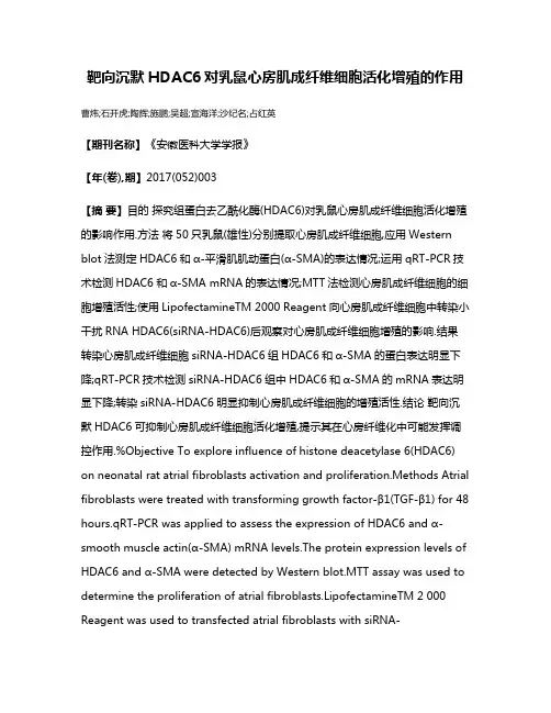 靶向沉默HDAC6对乳鼠心房肌成纤维细胞活化增殖的作用