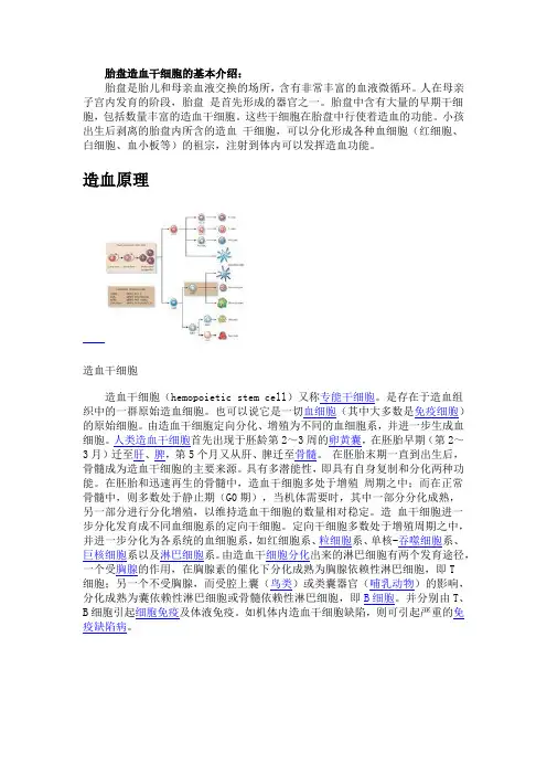 胎盘造血干细胞