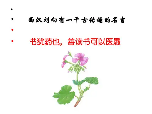 2019年高考生物试题及参考答案上海卷