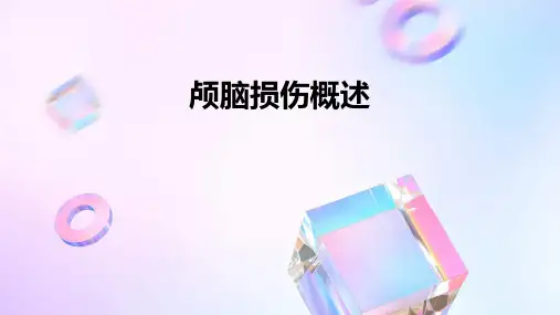 《颅脑损伤概述》课件