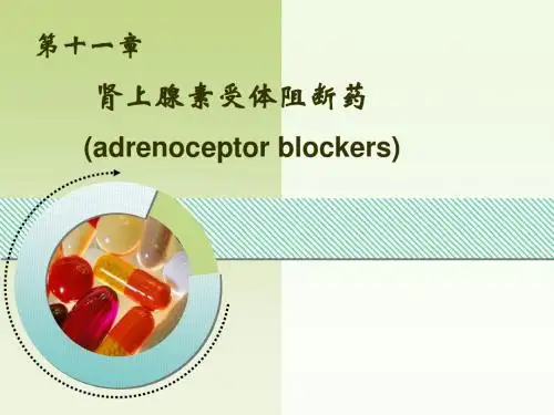 第11章  肾上腺素受体阻断药