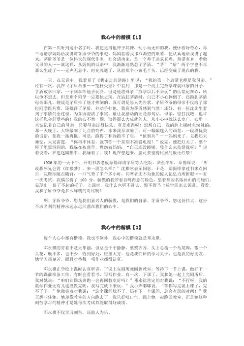 我心中的楷模作文

