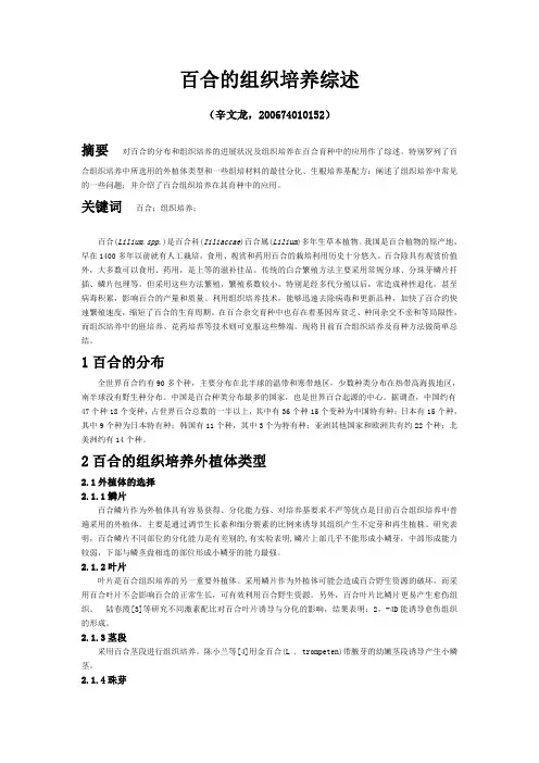百合的组织培养技术综述