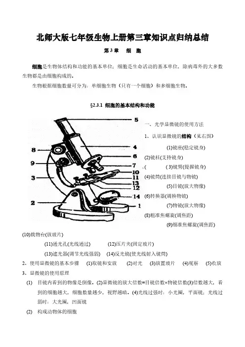 北师大版七年级生物上册第三章《细胞》知识点归纳总结