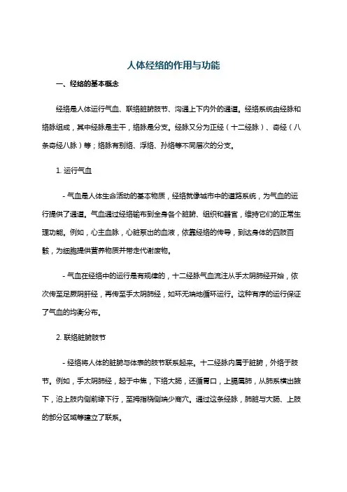 人体经络的作用与功能