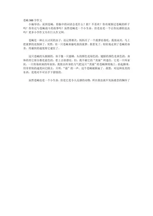 苍蝇300字作文