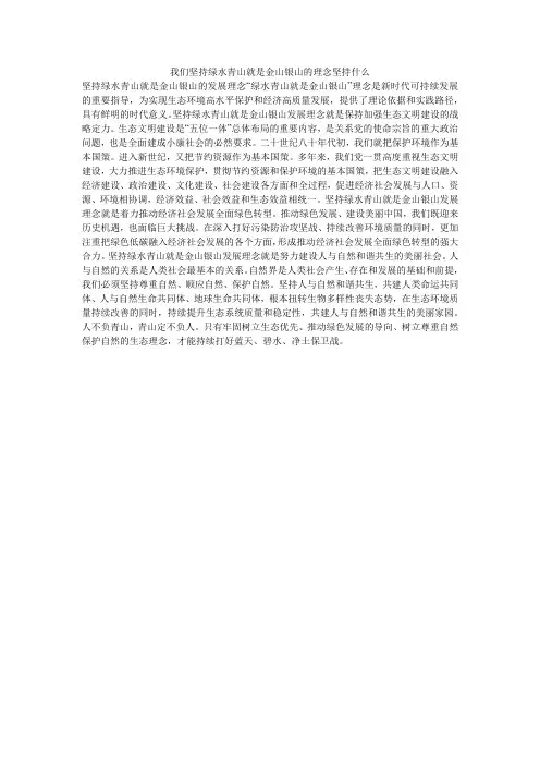 我们坚持绿水青山就是金山银山的理念坚持什么