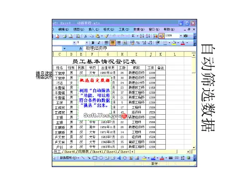 电子表格Excel2003的使用技巧