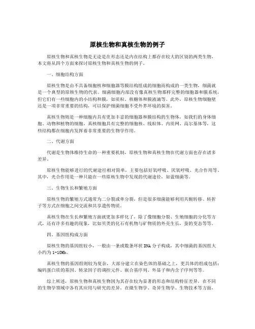 原核生物和真核生物的例子
