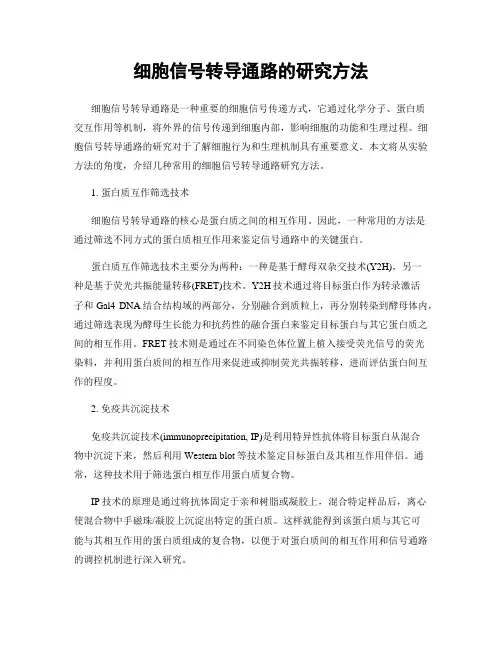 细胞信号转导通路的研究方法