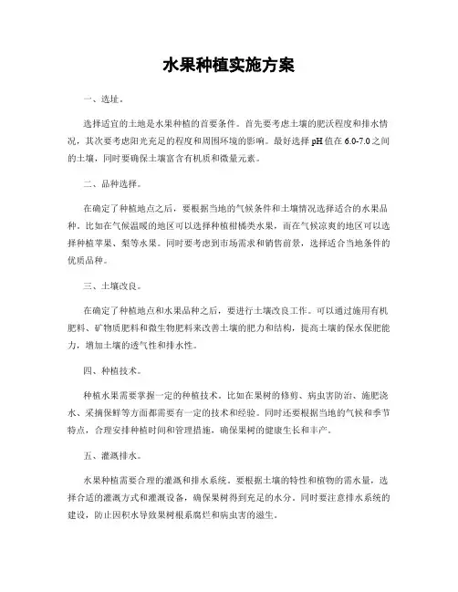水果种植实施方案