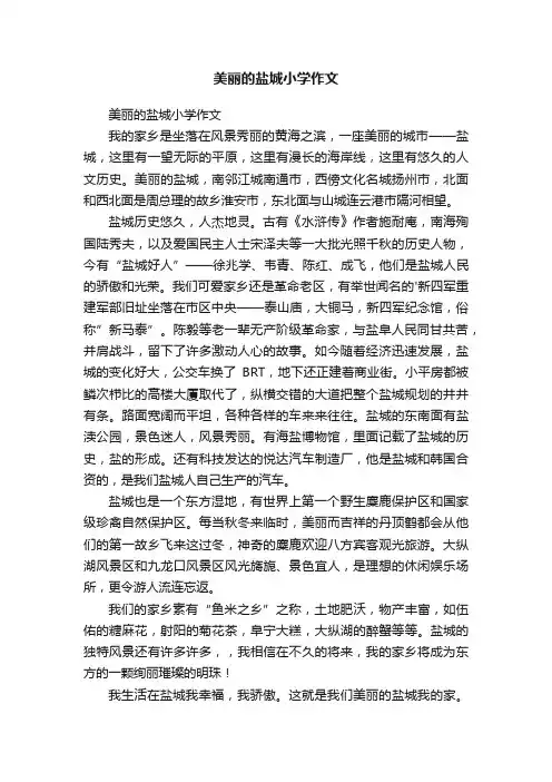 美丽的盐城小学作文
