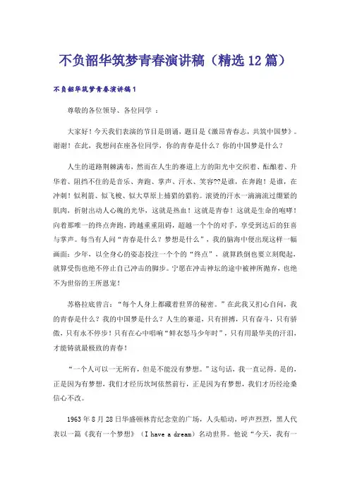 不负韶华筑梦青春演讲稿(精选12篇)