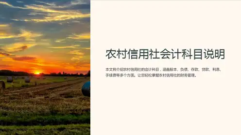 农村信用社会计科目说明