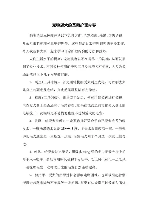 宠物店犬的基础护理内容