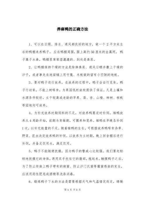 养麻鸭的正确方法