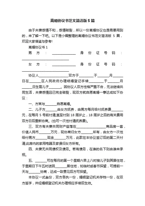 离婚协议书范文简洁版5篇