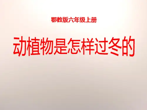 《动植物是怎样过冬的》四季中的变化PPT课件(上课用)
