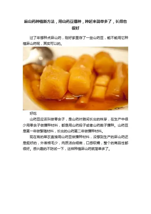 麻山药种植新方法，用山药豆播种，种起来简单多了，长得也很好