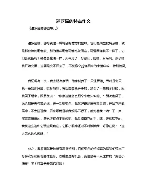 暹罗猫的特点作文