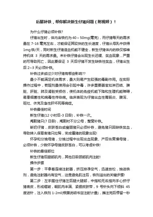 后腿补铁，帮你解决新生仔猪问题（附视频）！