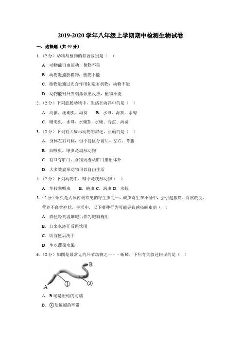 2019-2020学年八年级上学期期中检测生物试卷(解析版)