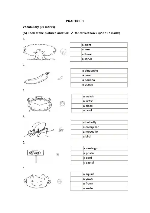 新加坡小学英语一年级试卷PRACTICE 1