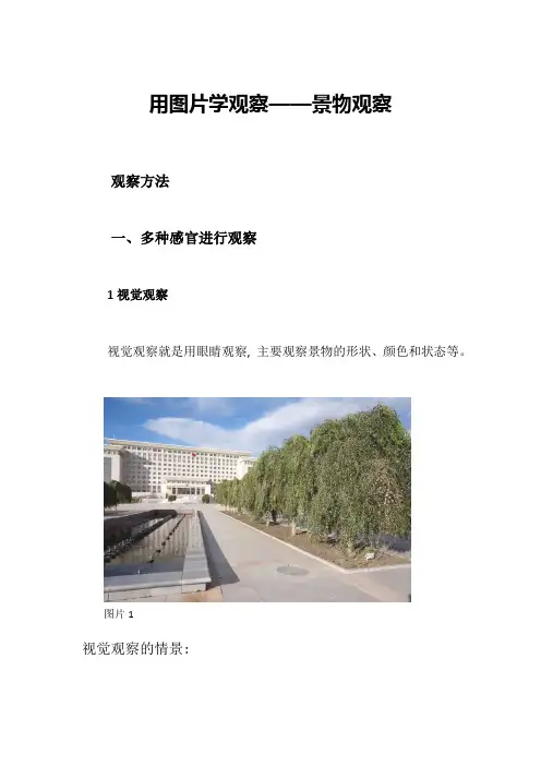 小学高段作文——多种感官观察景物