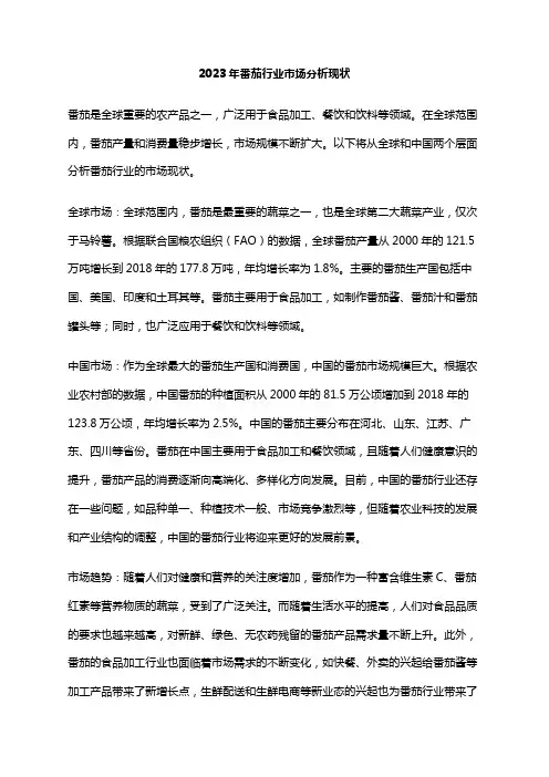 2023年番茄行业市场分析现状