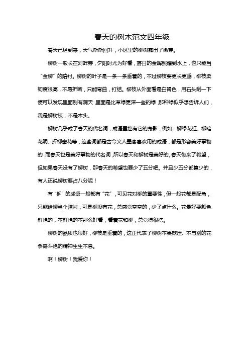 春天的树木范文四年级