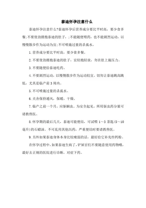 泰迪怀孕注意什么