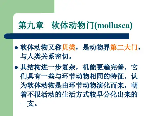 5[1].软体动物