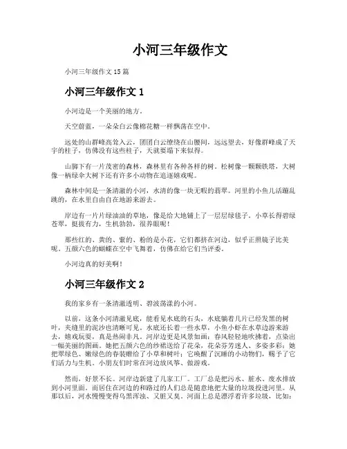 小河三年级作文