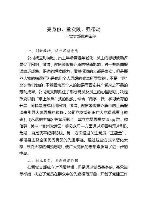 党支部优秀案例