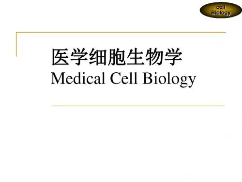 《医学细胞生物学》细胞外基质及其与细胞的相互关系