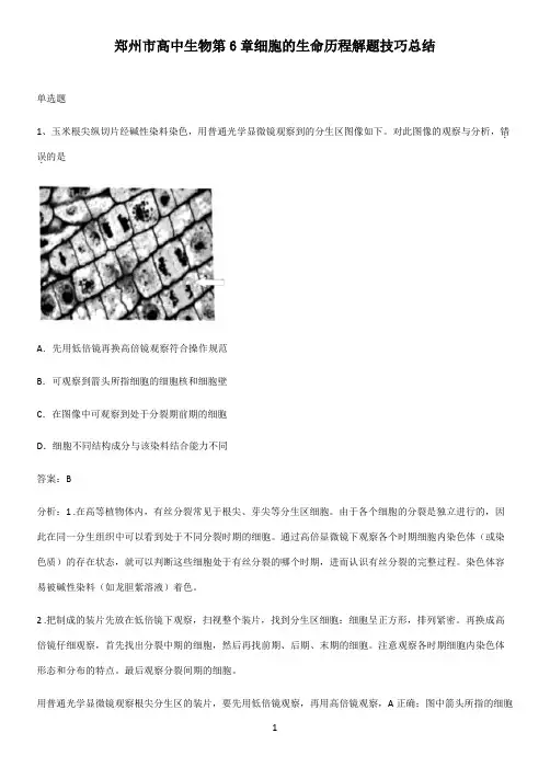 郑州市高中生物第6章细胞的生命历程解题技巧总结