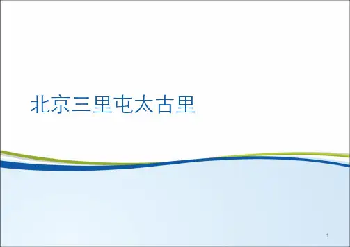 北京三里屯太古里项目考察报告解析