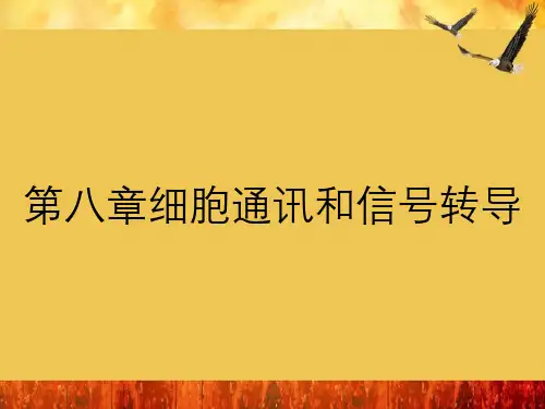 第八章细胞通讯和信号转导