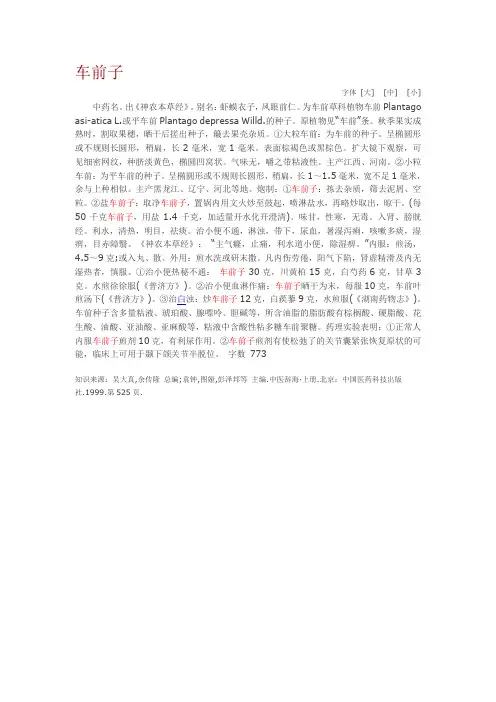 车前子