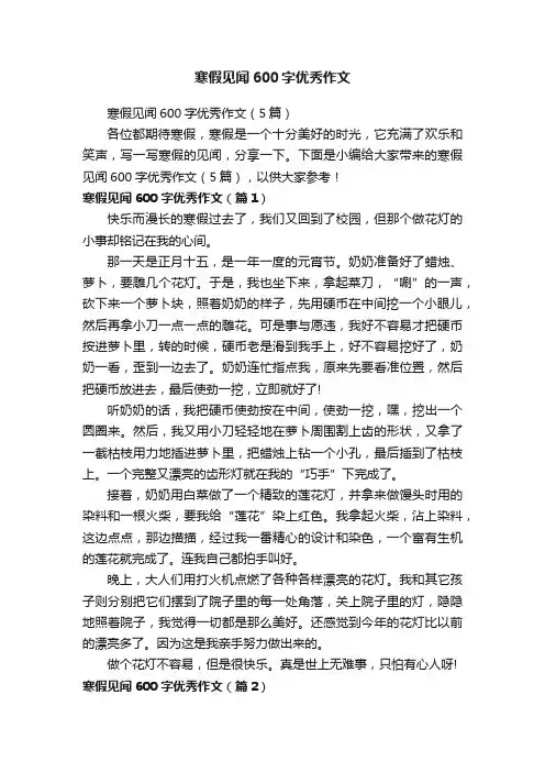 寒假见闻600字优秀作文