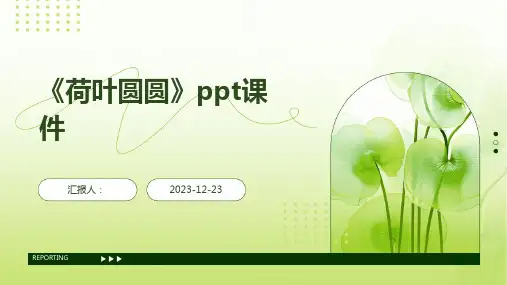 《荷叶圆圆》ppt课件