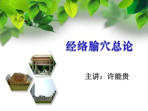 经络腧穴学概论(腧穴总论)