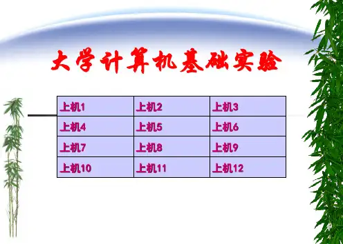 大学计算机基础实验-资料