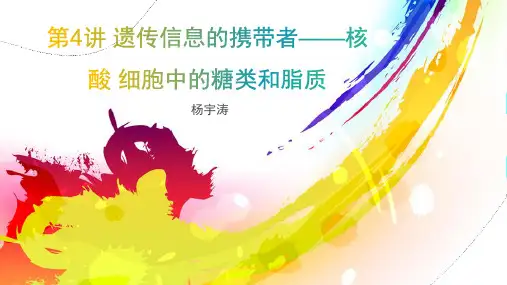 1.4 遗传信息的携带者——核酸 细胞中的糖类和脂质(46张PPT)