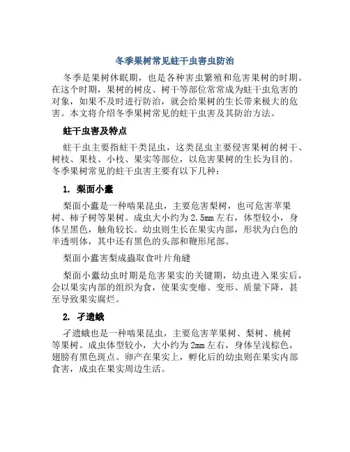 冬季果树常见蛀干虫害虫防治
