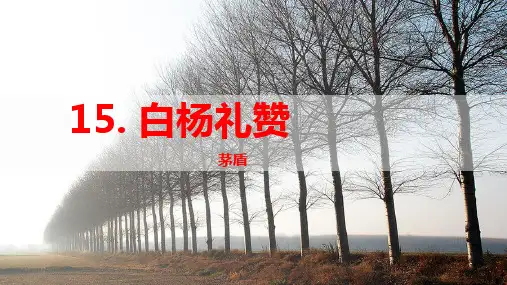 第15课《白杨礼赞》课件(共36张PPT)2023—2024学年统编版语文八年级上册