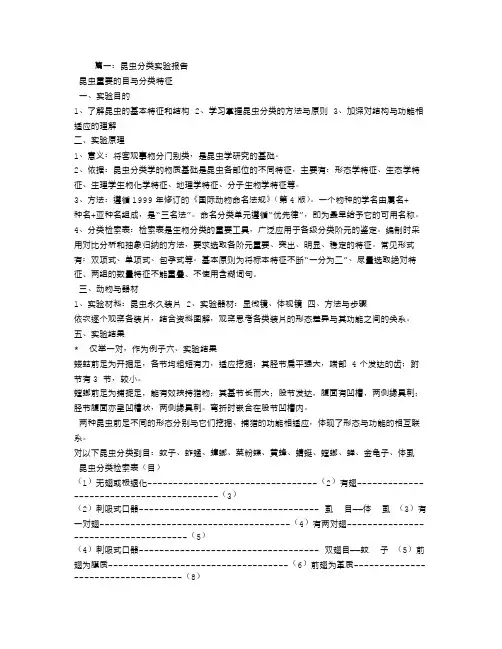 昆虫分类实验报告