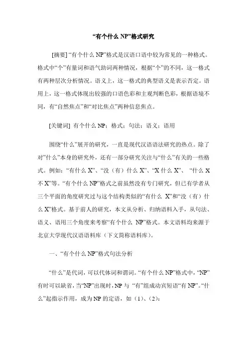“有个什么NP”格式研究