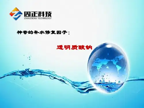 面膜新版PPT课件