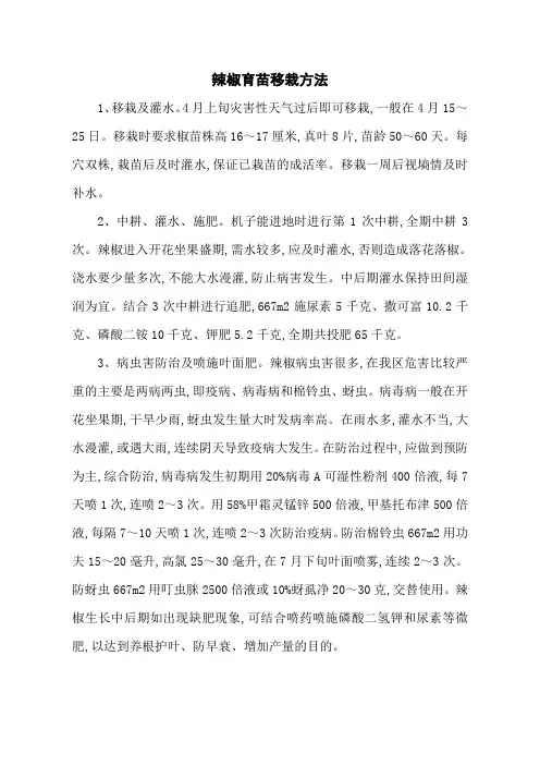 辣椒育苗移栽方法